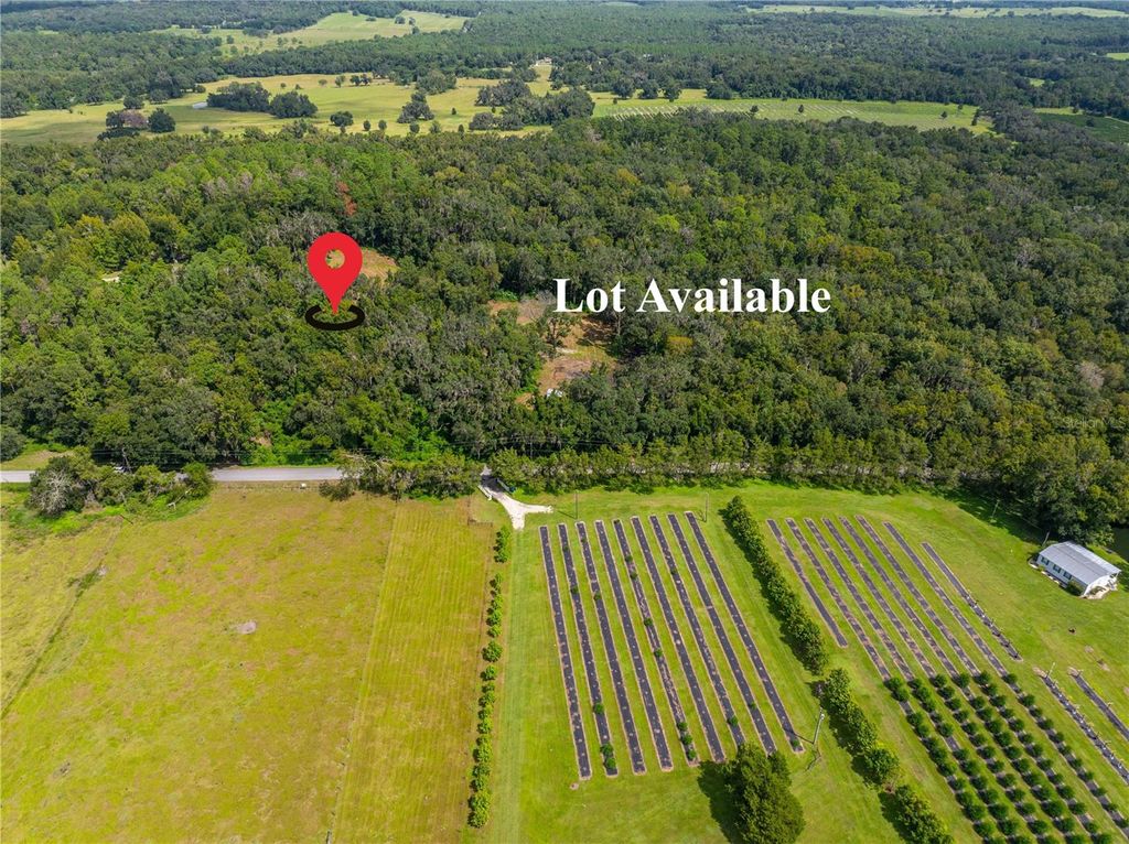 Photo of Whitman Road, Brooksville, FL 34601 (MLS # T3552880)