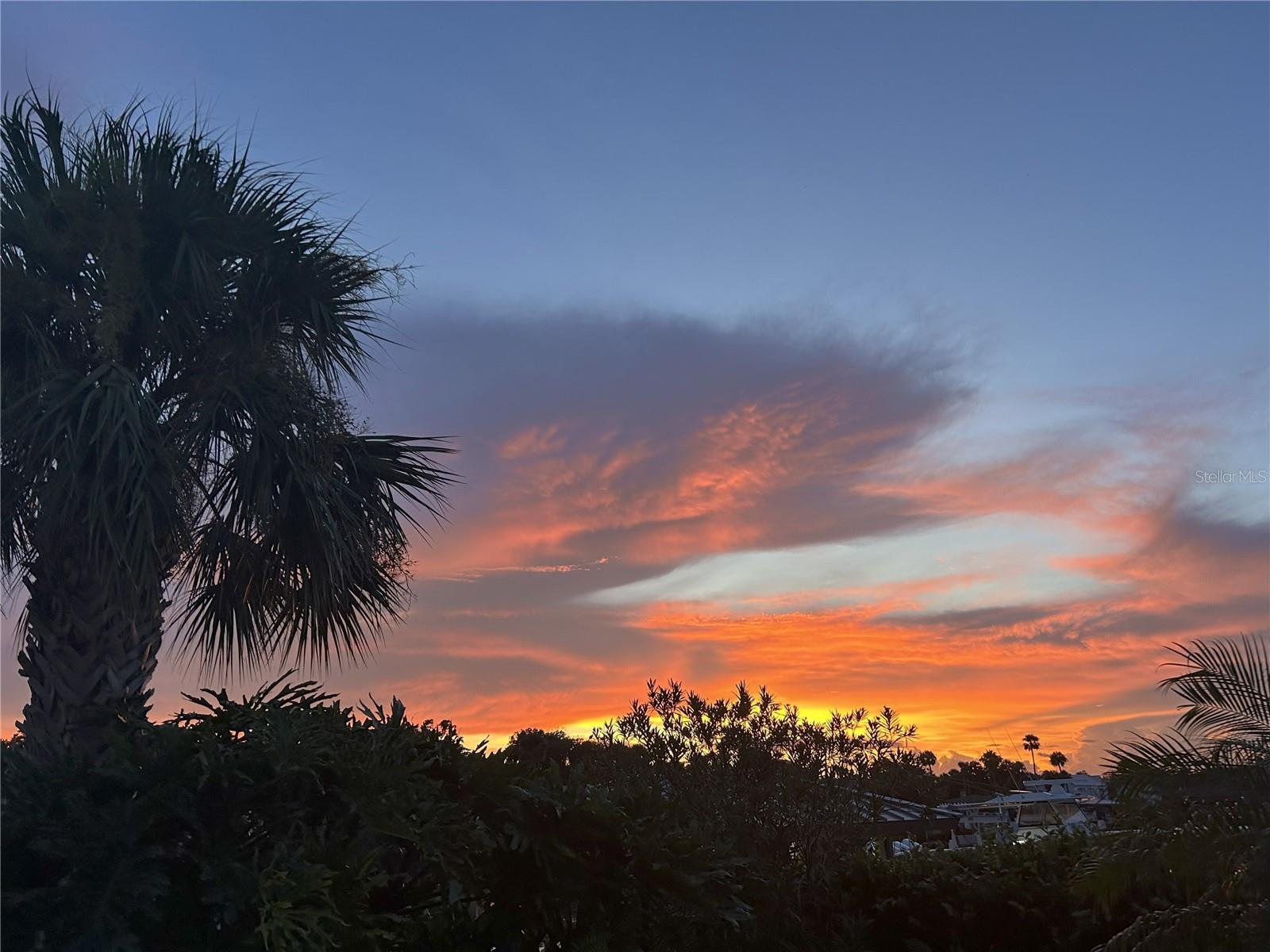 YACHT CLUB ISLAND ESTATE - Residential