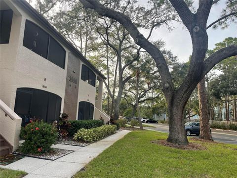 A home in PALM HARBOR