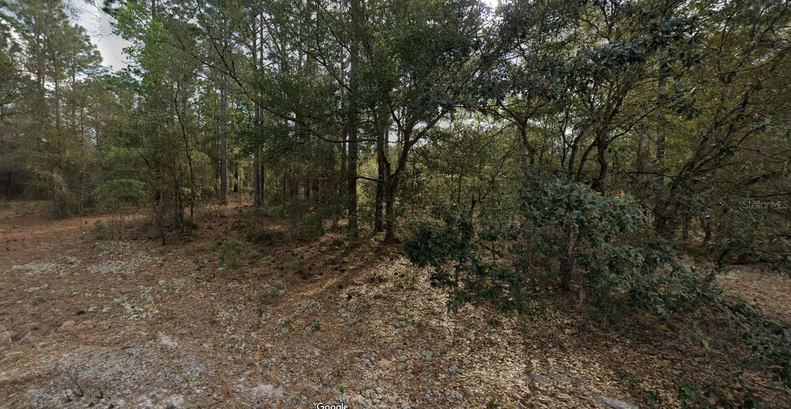Escape the hustle and bustle and embrace peace and tranquility with this beautiful piece of land, perfect for those seeking a serene, nature-filled lifestyle. Whether you're ready to place your modular home or simply looking to invest in a quiet, rural retreat—this property is ready for you. Located in a charming, undeveloped area surrounded by natural Florida beauty, this lot offers convenient access to nearby lakes including Lucy, Galilee, and Lady's Slipper—ideal for fishing, kayaking, or simply enjoying the outdoors. With no HOA, no CDD fees, and no flood insurance required, you have the freedom to make this space your own with minimal restrictions. Situated just 30 minutes from Gainesville, you're close enough to city amenities while enjoying the peace of a countryside setting. Whether you're building now or buying and holding, this is your opportunity to own your own slice of paradise.
