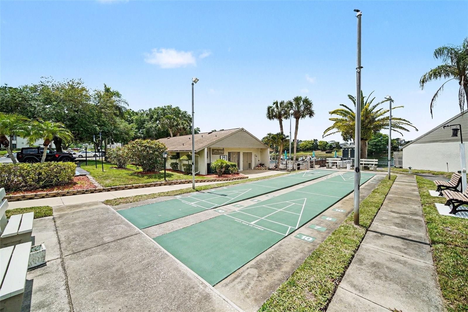 PINE RIDGE AT PALM HARBOR CONDO - Residential
