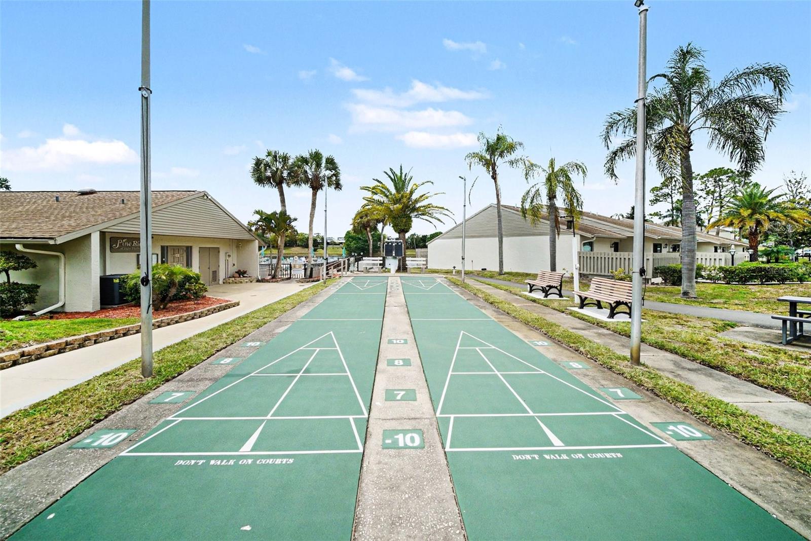 PINE RIDGE AT PALM HARBOR CONDO - Residential