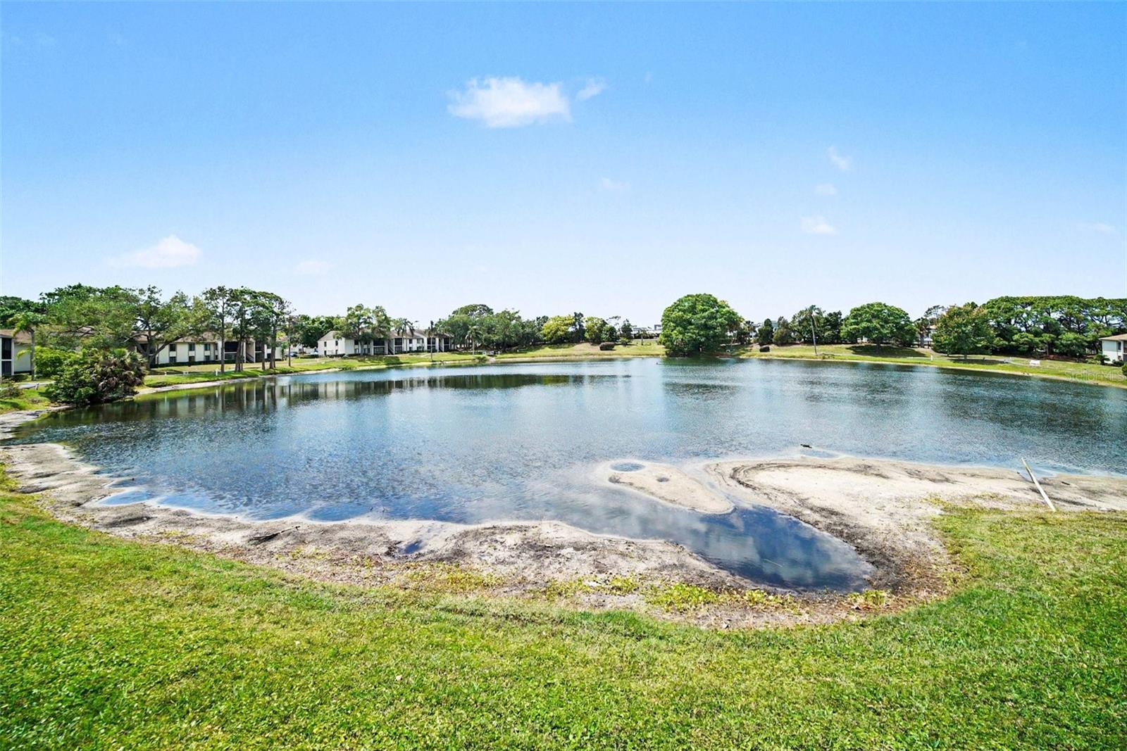 PINE RIDGE AT PALM HARBOR CONDO - Residential
