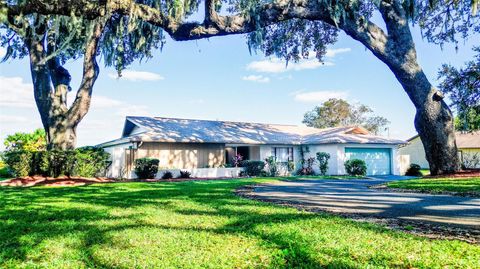 Photo of 9891 County Road 114b, Wildwood, FL 34785 (MLS # TB8446333)