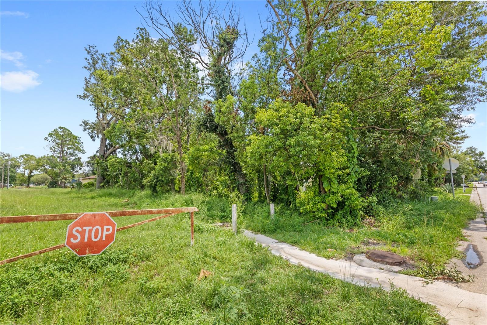 DREAMWOLD 3RD SEC - Land