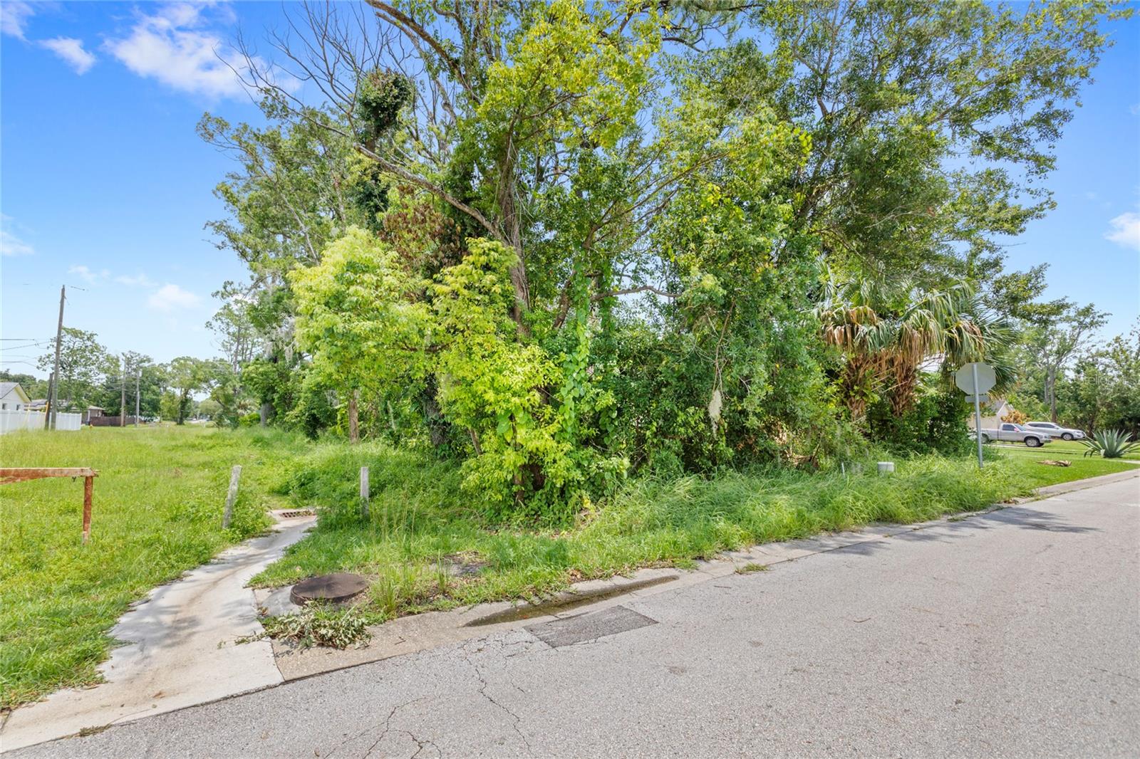 DREAMWOLD 3RD SEC - Land