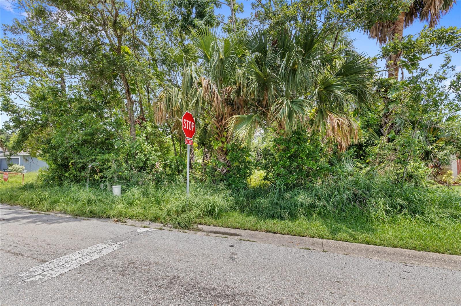 DREAMWOLD 3RD SEC - Land