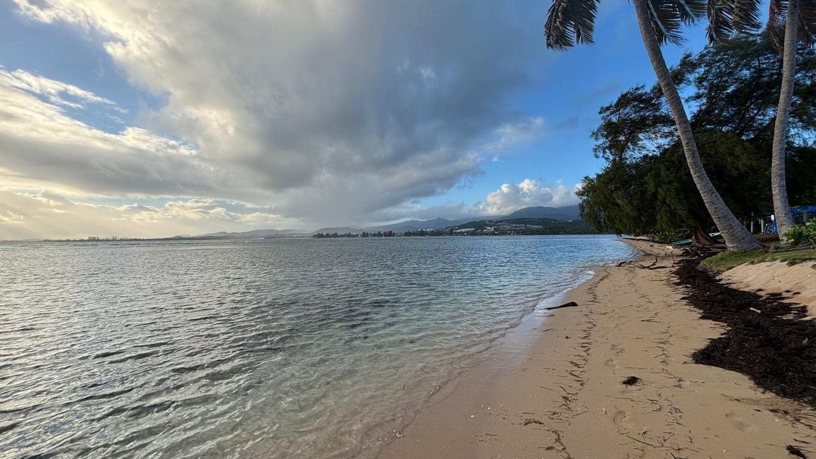 Las Picuas Beach BO. ZORZAL ORCHARD 6