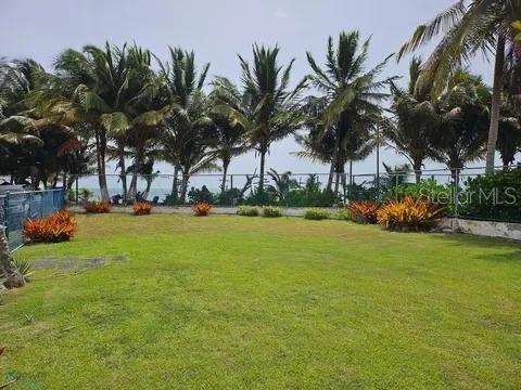 Las Picuas Beach BO. ZORZAL ORCHARD 6