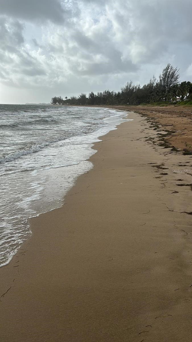 Las Picuas Beach BO. ZORZAL ORCHARD 6