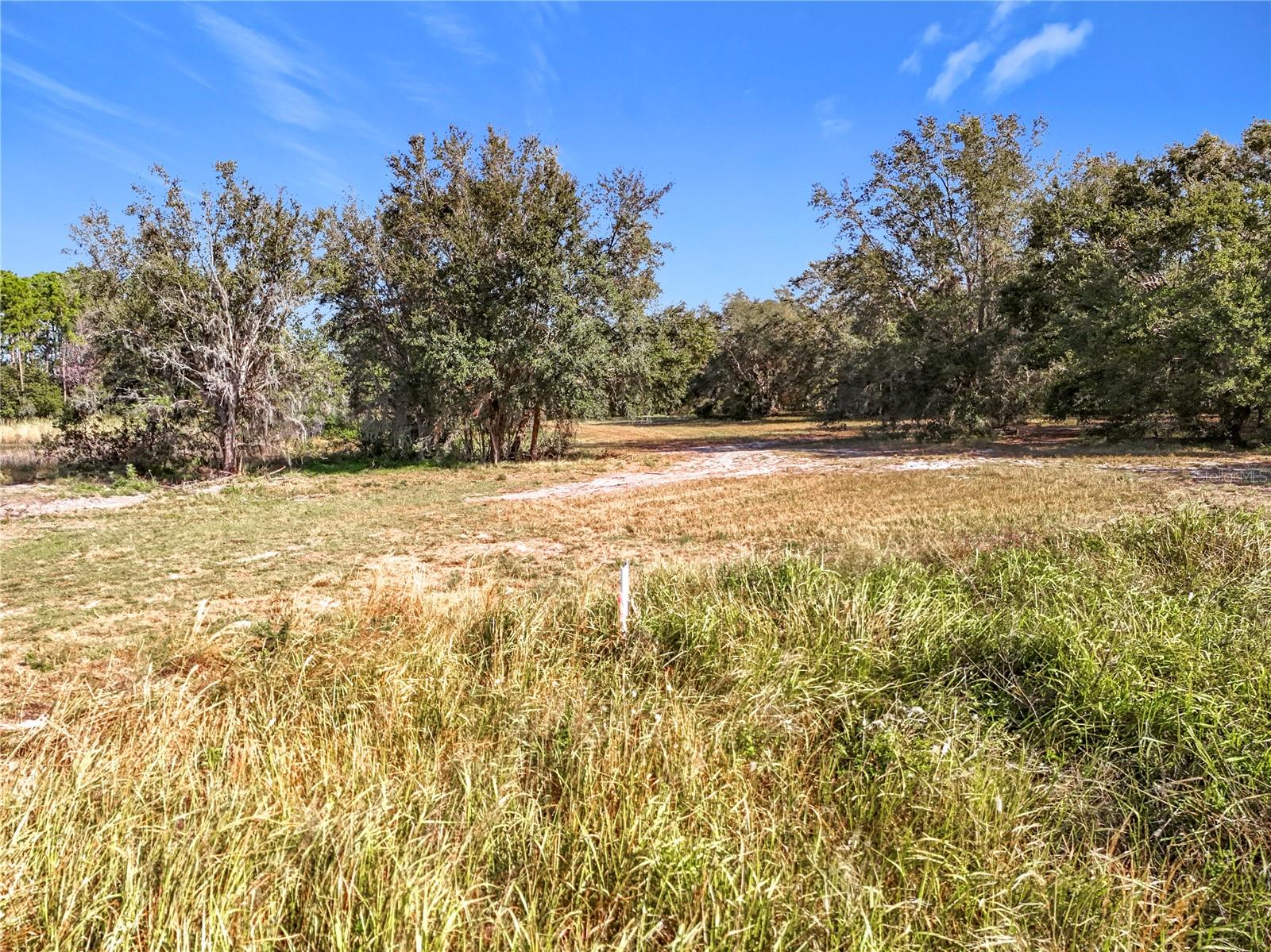 GROVELAND FARMS - Land