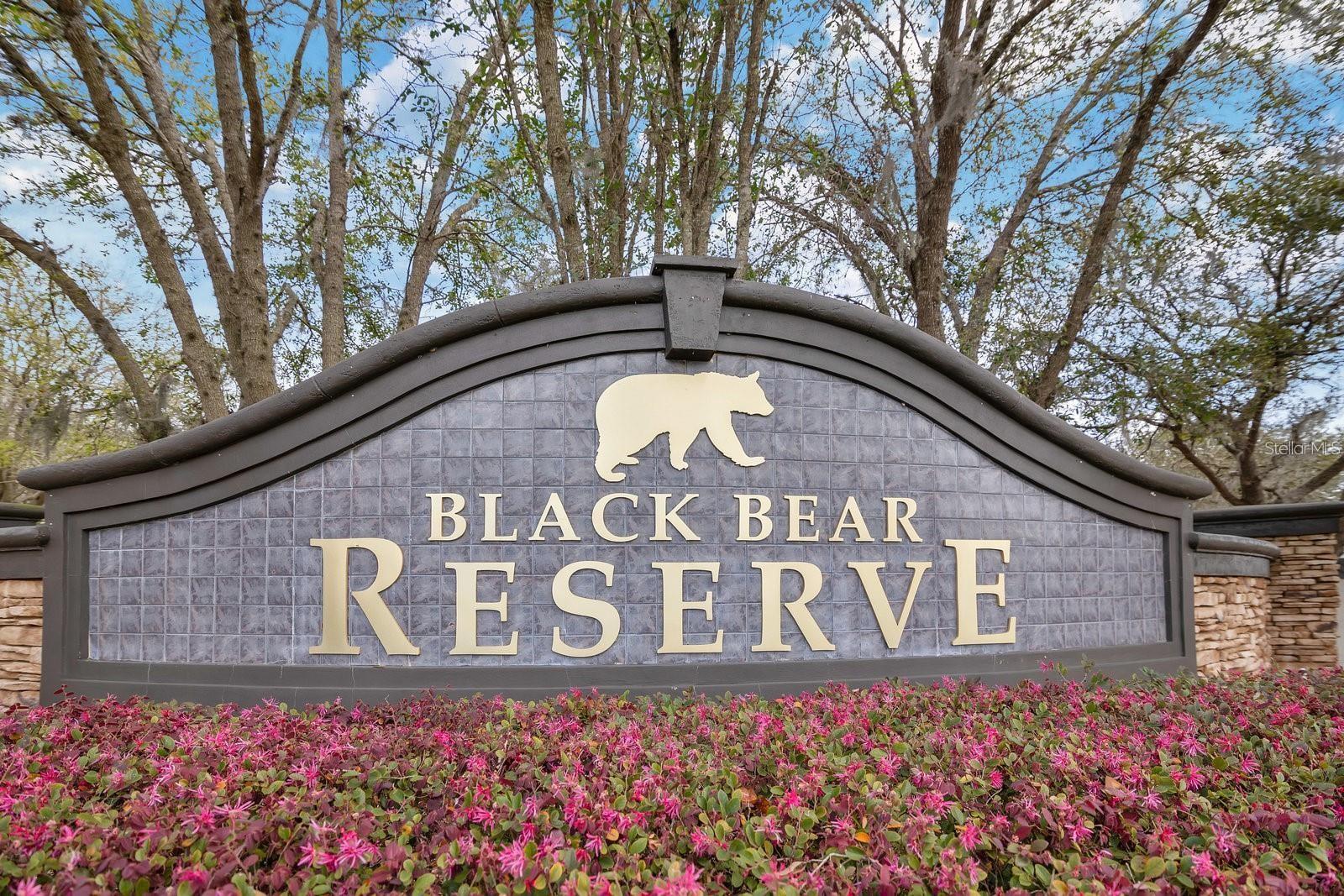 ESTATES AT BLACK BEAR - Land