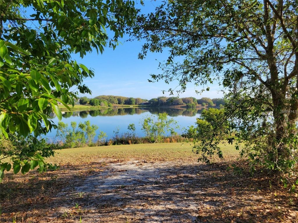 Photo of 36717 Barrington Drive, Eustis, FL 32736 (MLS # O6388589)