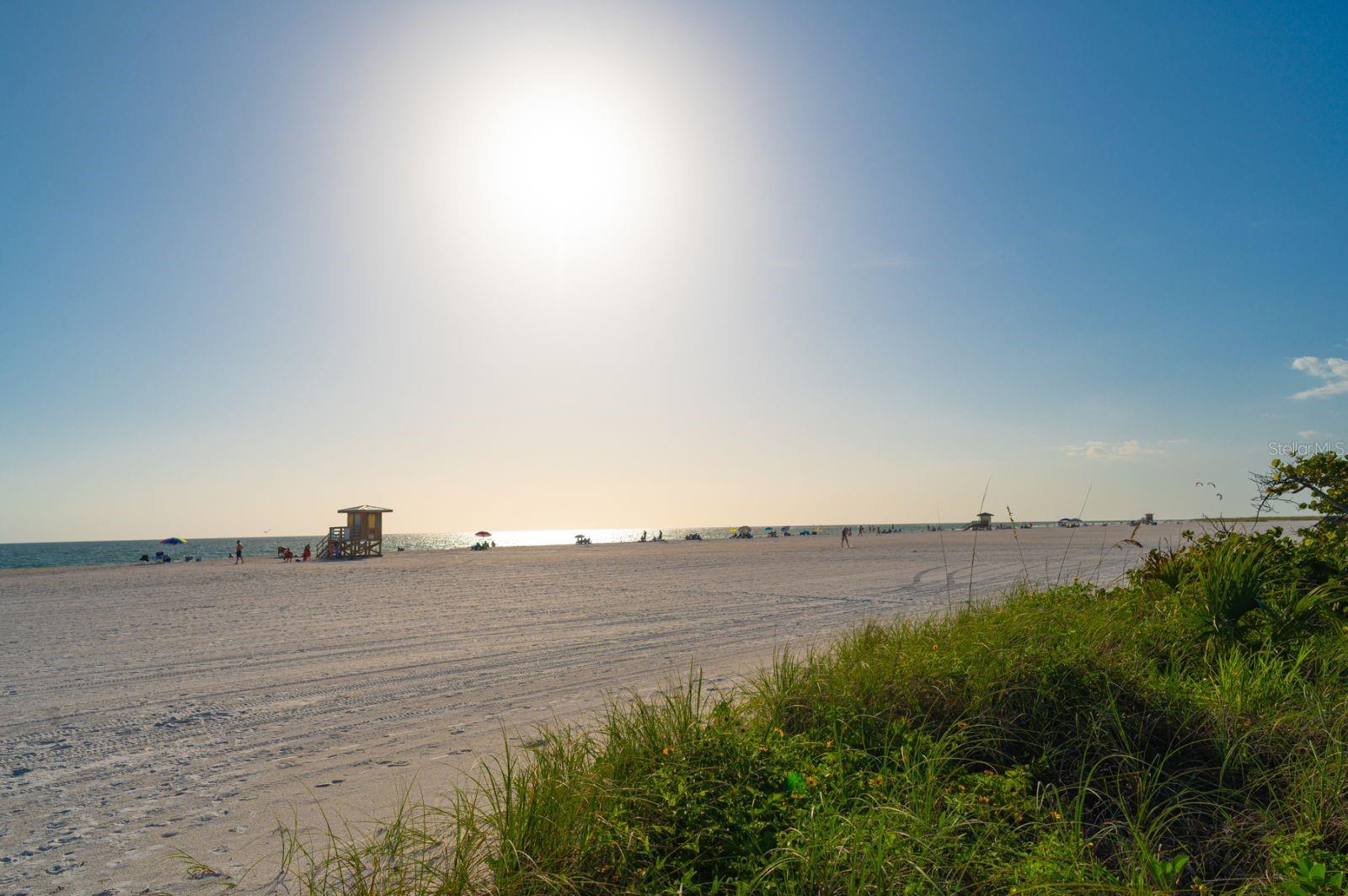 KINGSTON ARMS - Residential