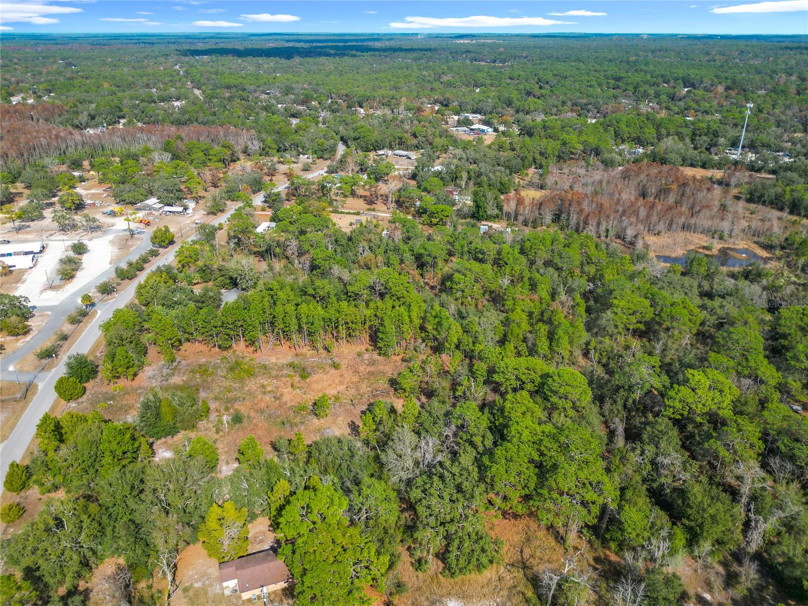 HOMOSASSA GARDENS - Residential
