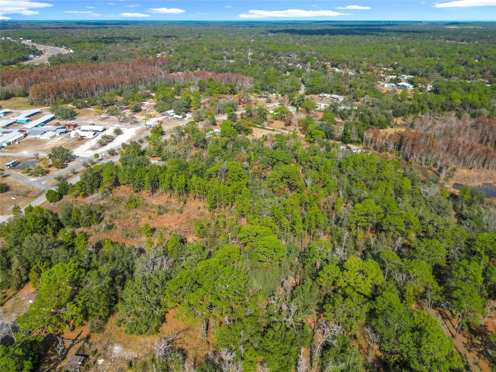 HOMOSASSA GARDENS - Residential