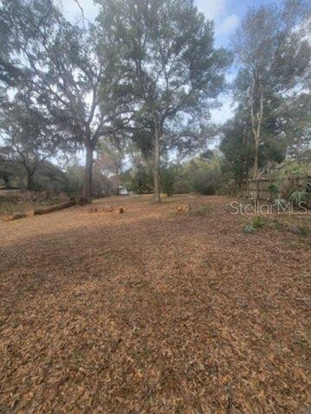 Photo of 19100 SE 95th Street, Ocklawaha, FL 32179 (MLS # OM694495)