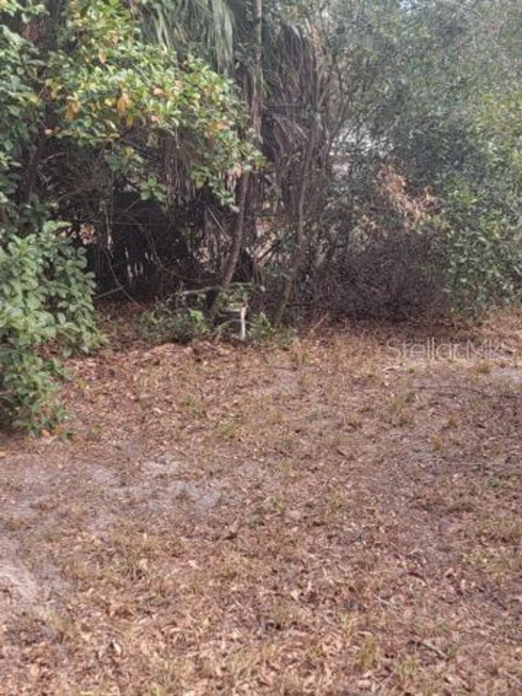 Photo of 19100 SE 95th Street, Ocklawaha, FL 32179 (MLS # OM694495)