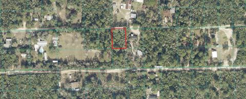 00 NE 234TH LANE FORT MC COY FL 32134