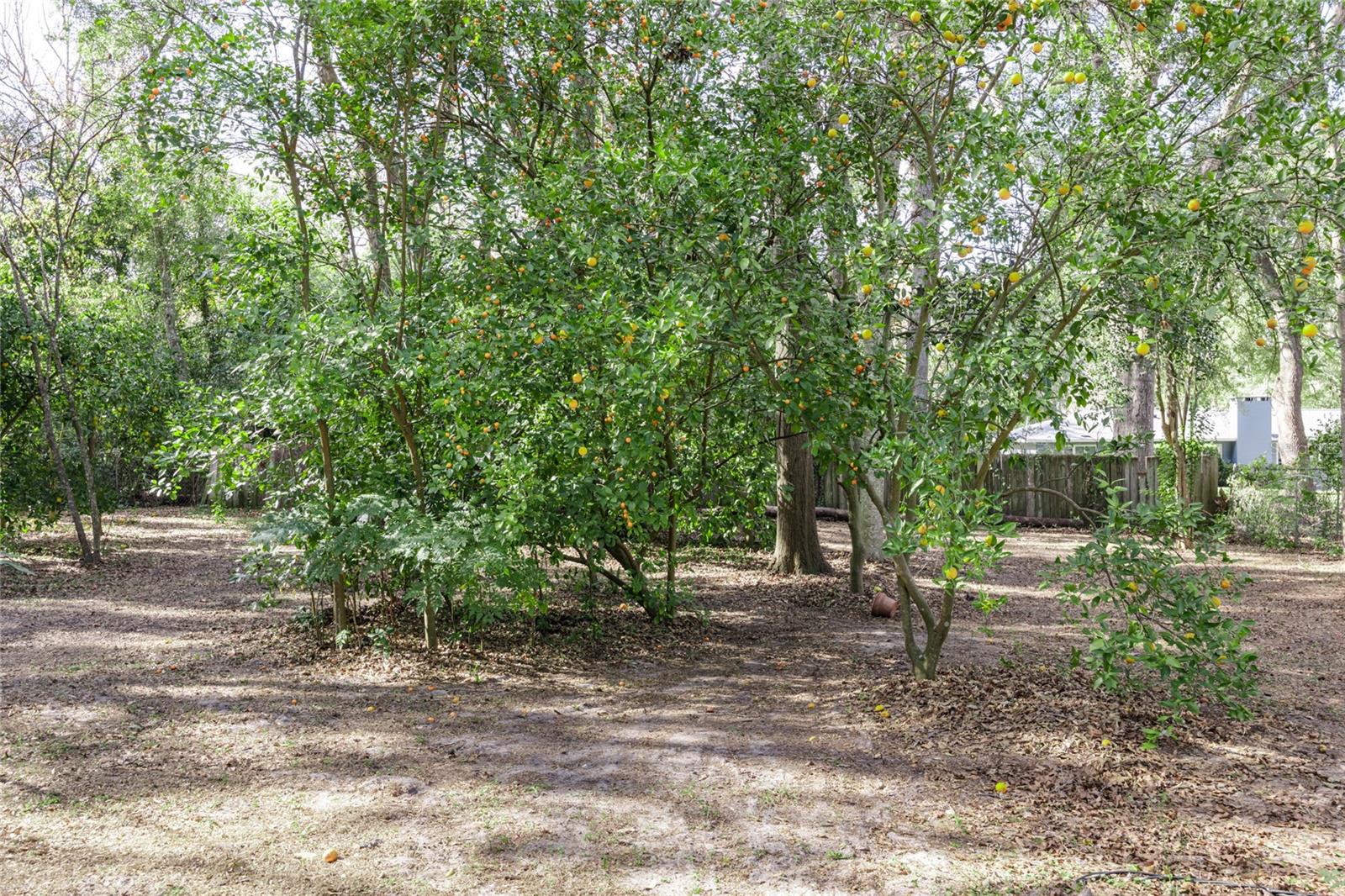 WEST END ESTATES - Residential