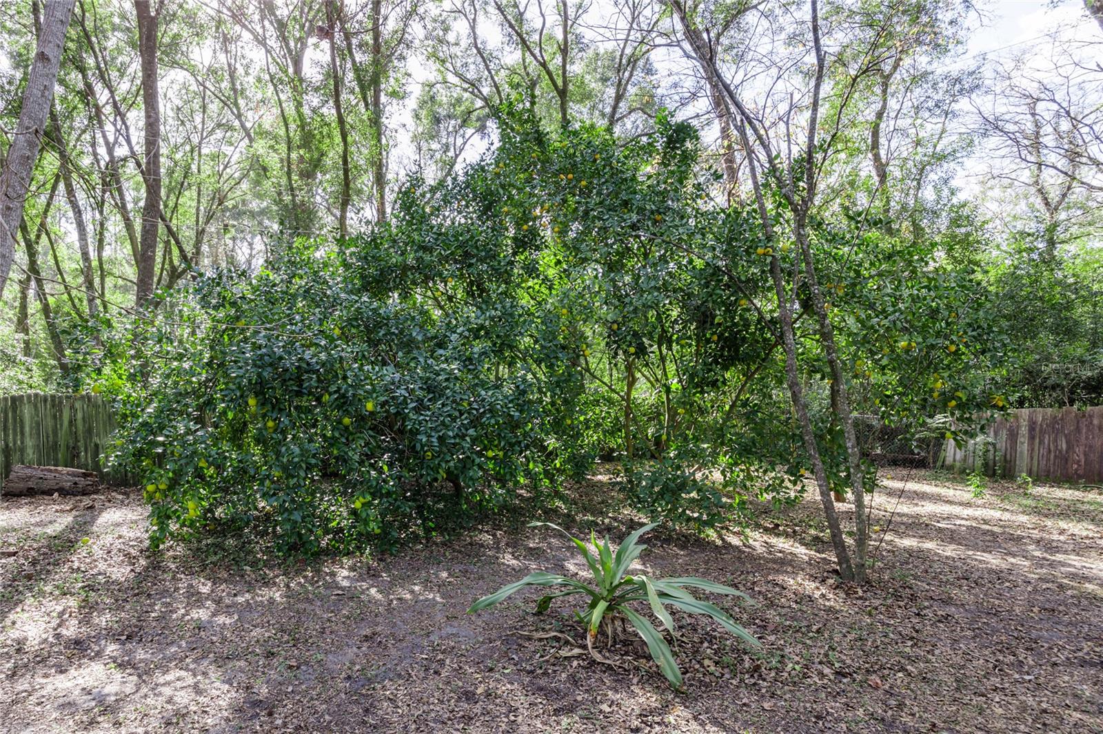 WEST END ESTATES - Residential