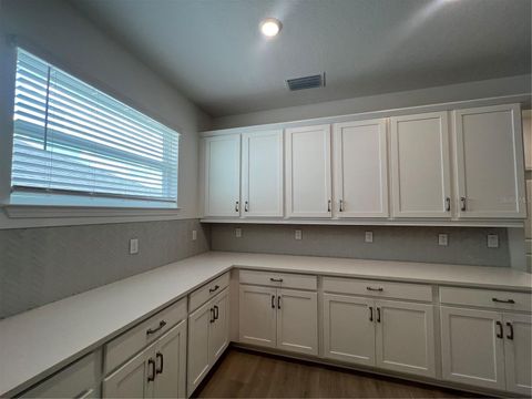 Tiny photo for 1698 Cadence Street, Minneola, FL 34715 (MLS # G5101220)