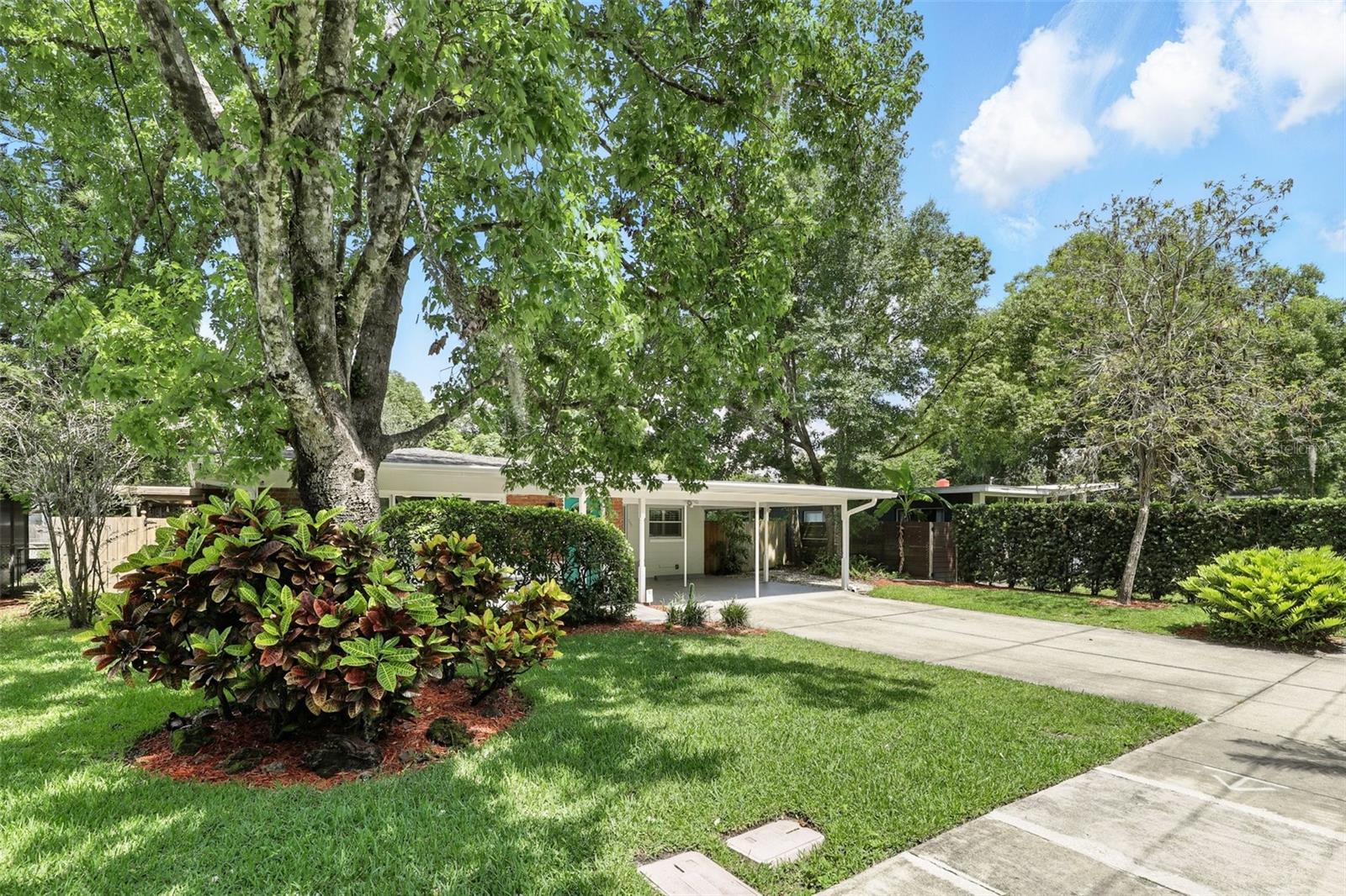 509 ALTALOMA AVENUE
