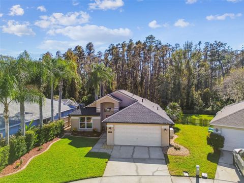 Photo of 29228 Birds Eye Drive, Wesley Chapel, FL 33543 (MLS # W7880925)