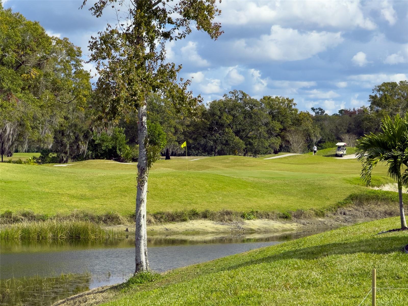 THE PRESERVE AT LA PALOMA - Residential