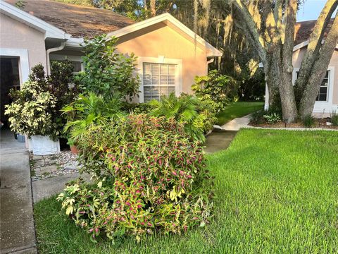 A home in ZEPHYRHILLS