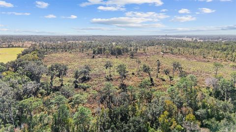 Tiny photo for 1 Petition #4261-1, Ocala, FL 34481 (MLS # OM714679)