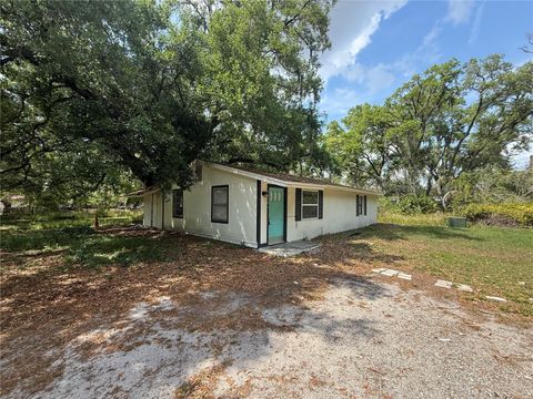Photo of 3424 Maze Lane, Brandon, FL 33511 (MLS # TB8504399)