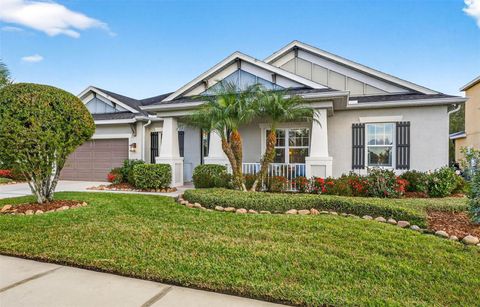 Photo of 27020 Evergreen Chase Drive, Wesley Chapel, FL 33544 (MLS # TB8463155)