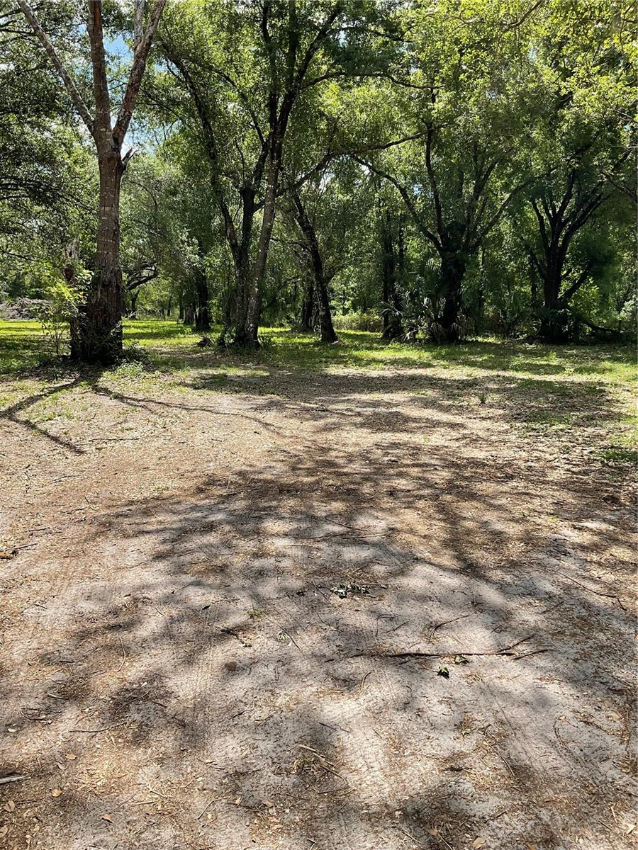 NOCATEE - Residential