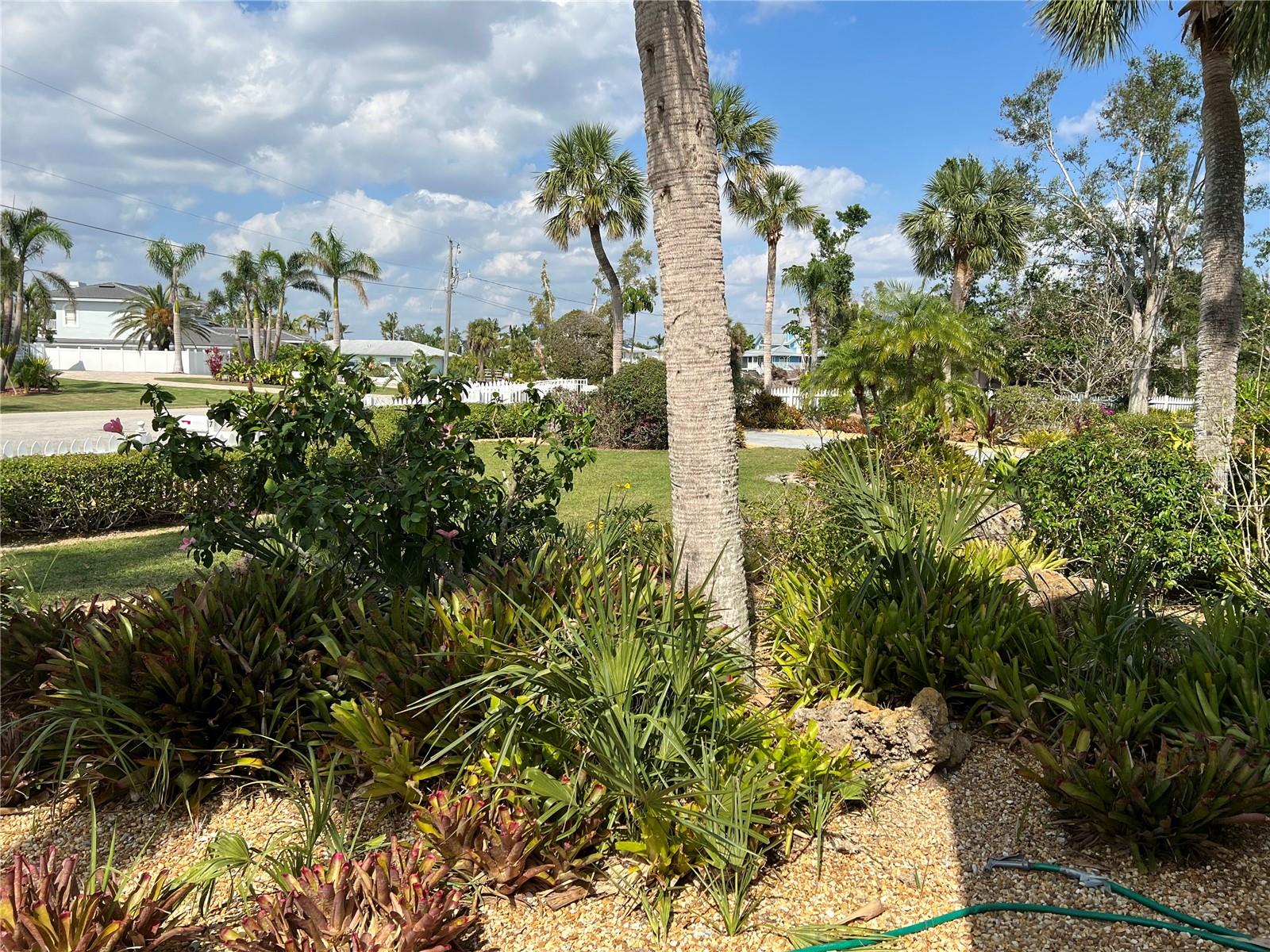 CAPE HAZE RESUB - Residential