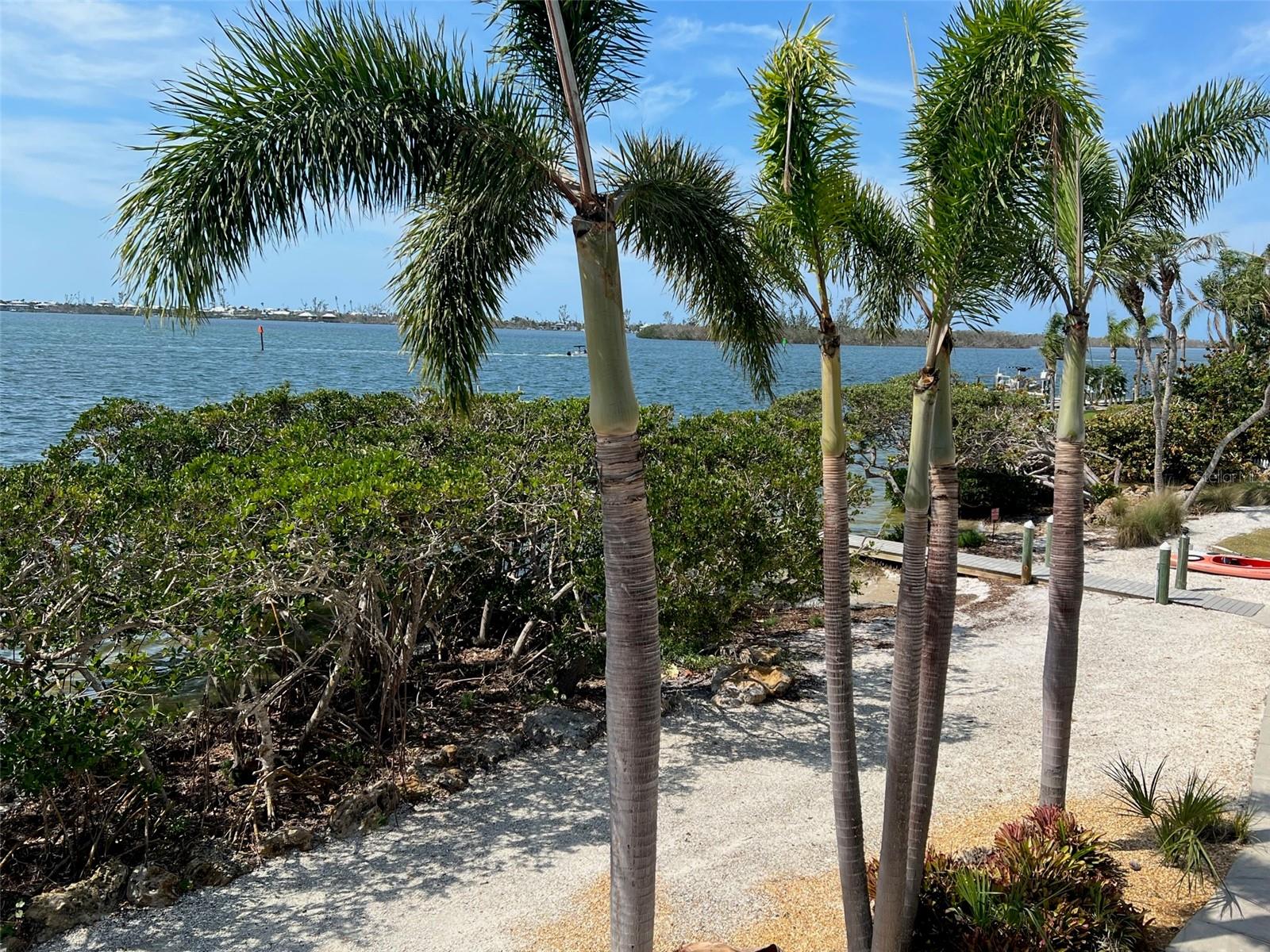 CAPE HAZE RESUB - Residential