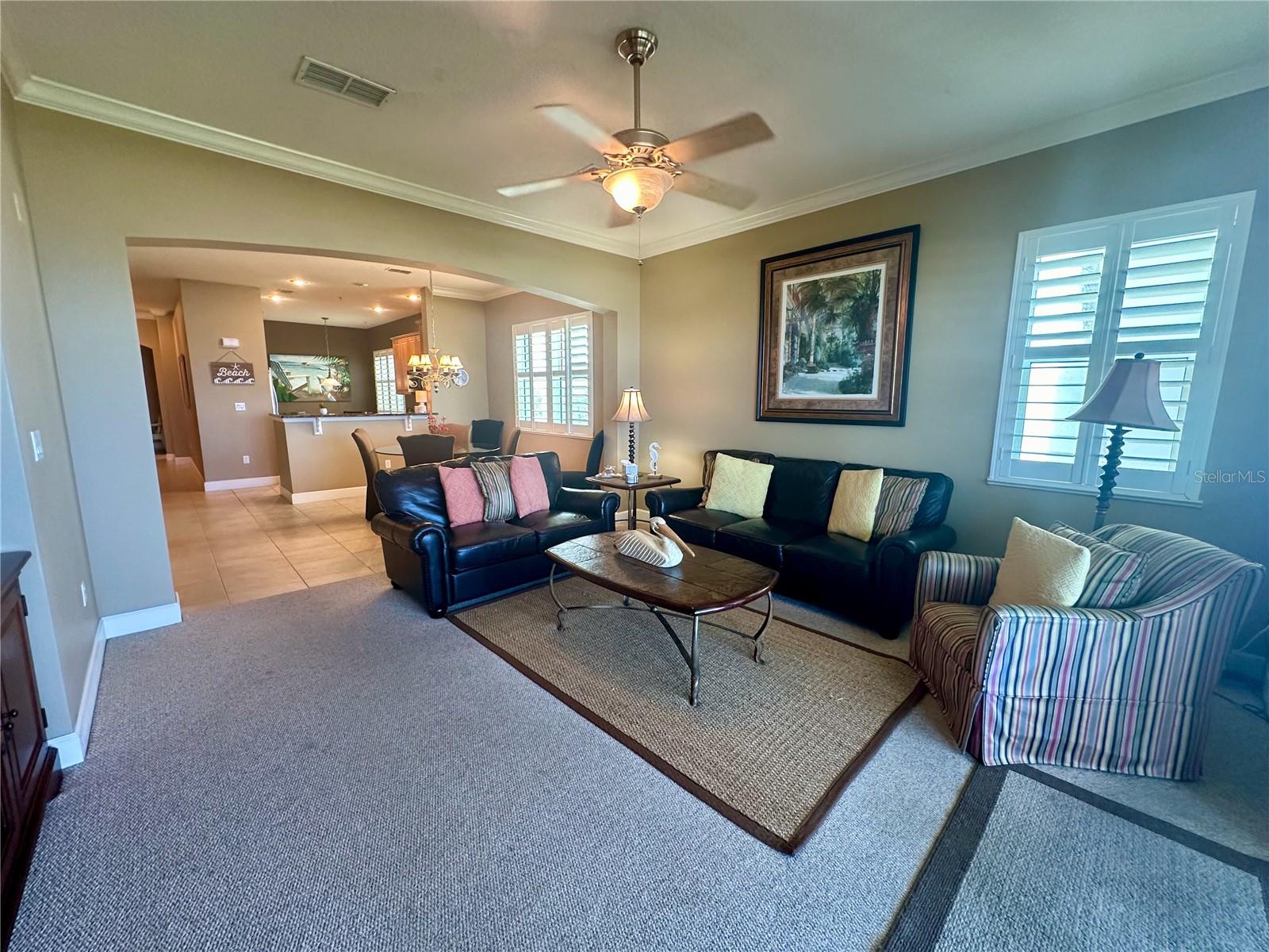 OCEAN HAMMOCK - Residential