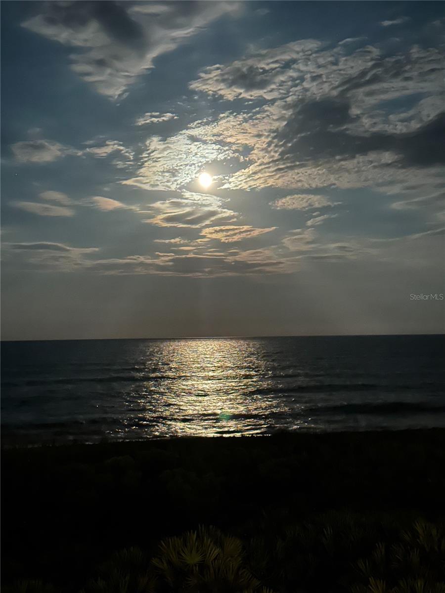 OCEAN HAMMOCK - Residential