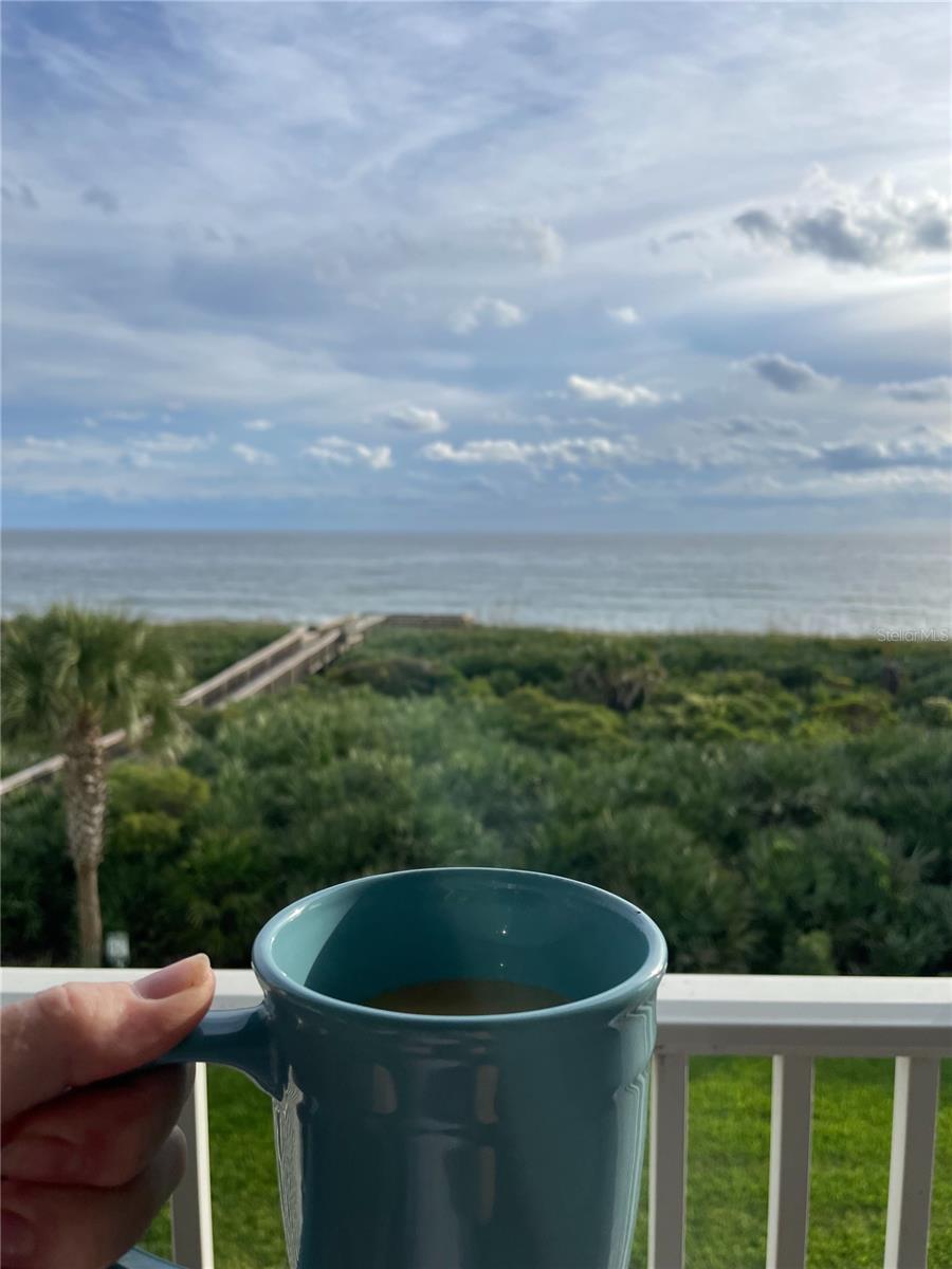 OCEAN HAMMOCK - Residential