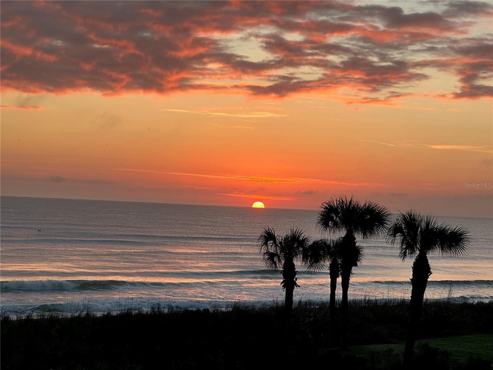 OCEAN HAMMOCK - Residential