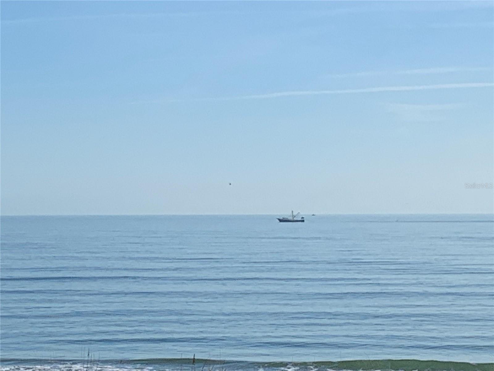 OCEAN HAMMOCK - Residential