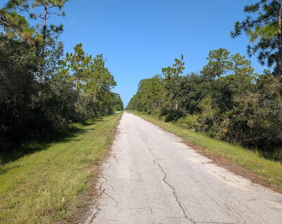 INDIAN LAKE ESTATES - Land