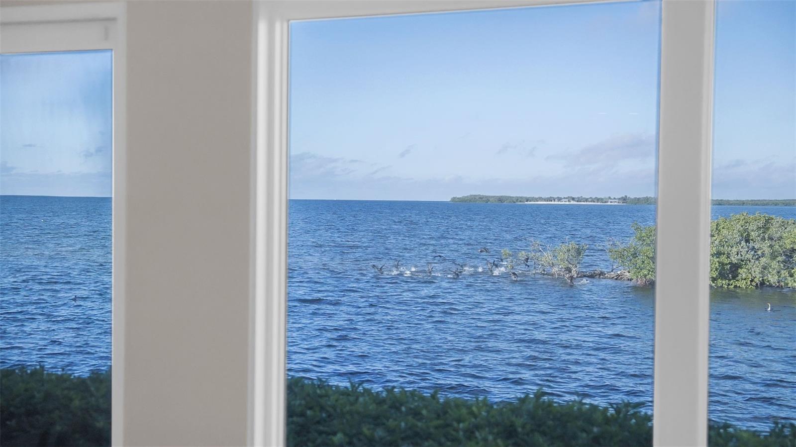 FLOR A MAR REP - Residential