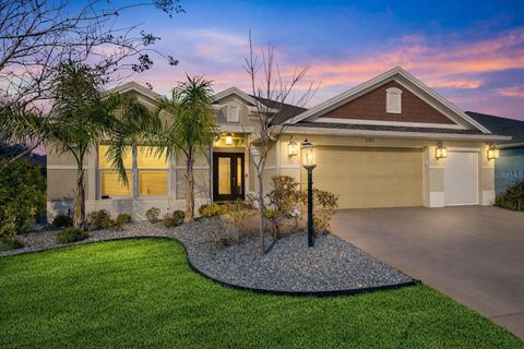 3769 CAUSEY COURT THE VILLAGES FL 32163