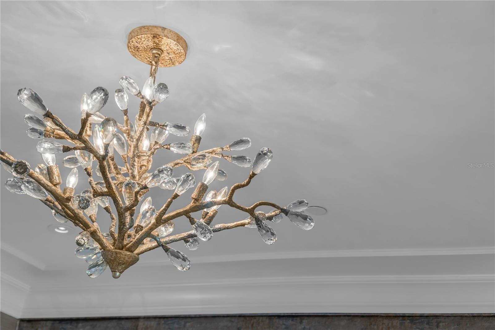 PARK HILL - Residential