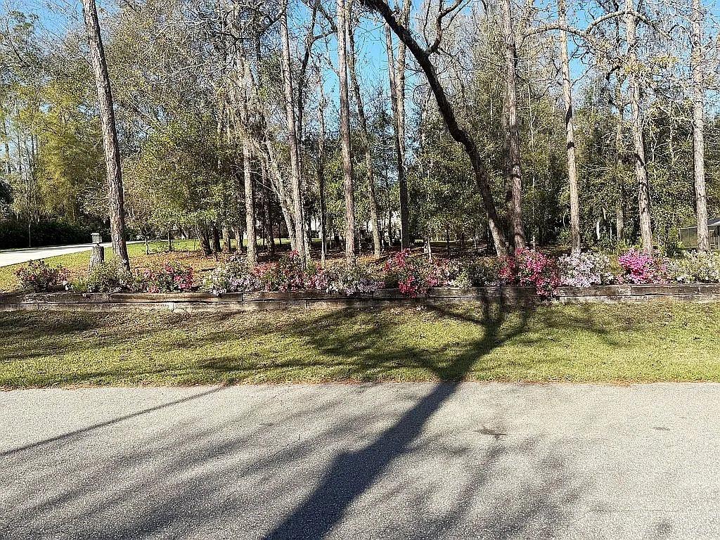 RAINBOW SPGS - Residential