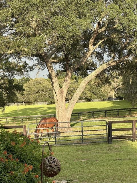 Tiny photo for 19950 SW 5th Place, Dunnellon, FL 34431 (MLS # TB8519916)