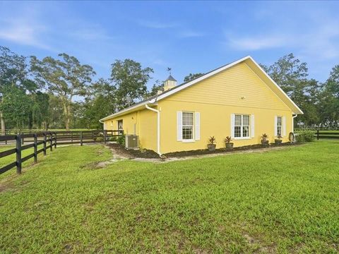 Tiny photo for 19950 SW 5th Place, Dunnellon, FL 34431 (MLS # TB8519916)