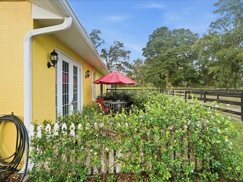 Tiny photo for 19950 SW 5th Place, Dunnellon, FL 34431 (MLS # TB8519916)