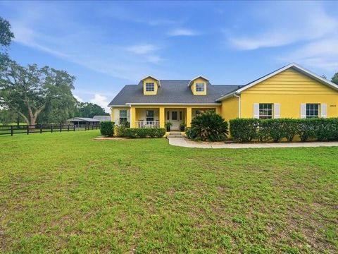 Tiny photo for 19950 SW 5th Place, Dunnellon, FL 34431 (MLS # TB8519916)
